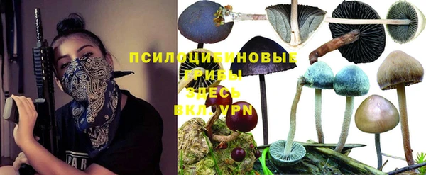 амф Абаза