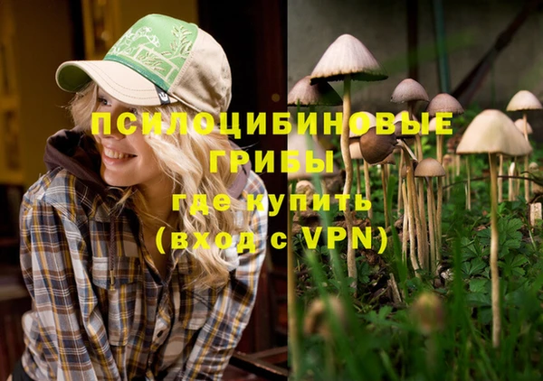 амф Абаза