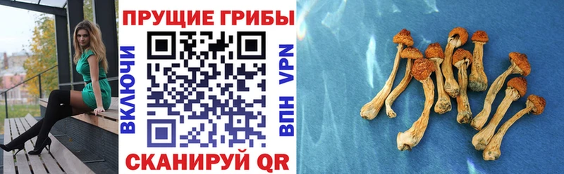 Галлюциногенные грибы ЛСД  наркота  Приволжский 